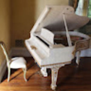 Meet your Posher, Paulette